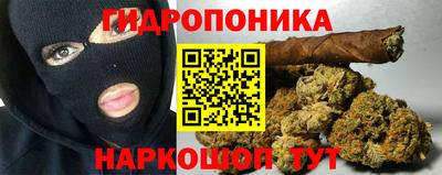 ешки Лесосибирск