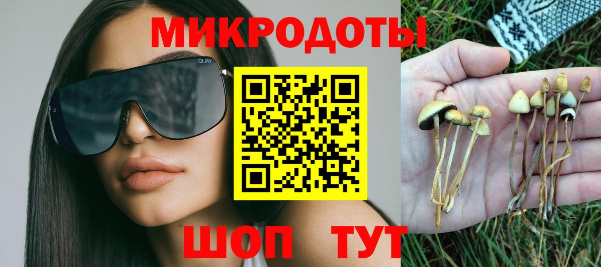 Галлюциногенные грибы MAGIC MUSHROOMS  купить закладку  Волжский  Вход с VPN 
