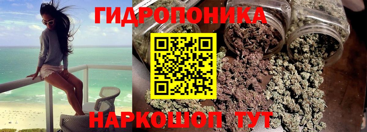 МАРИХУАНА гибрид Волжский